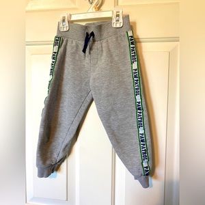 Gray Paw Patrol Sweatpants Kids 3T